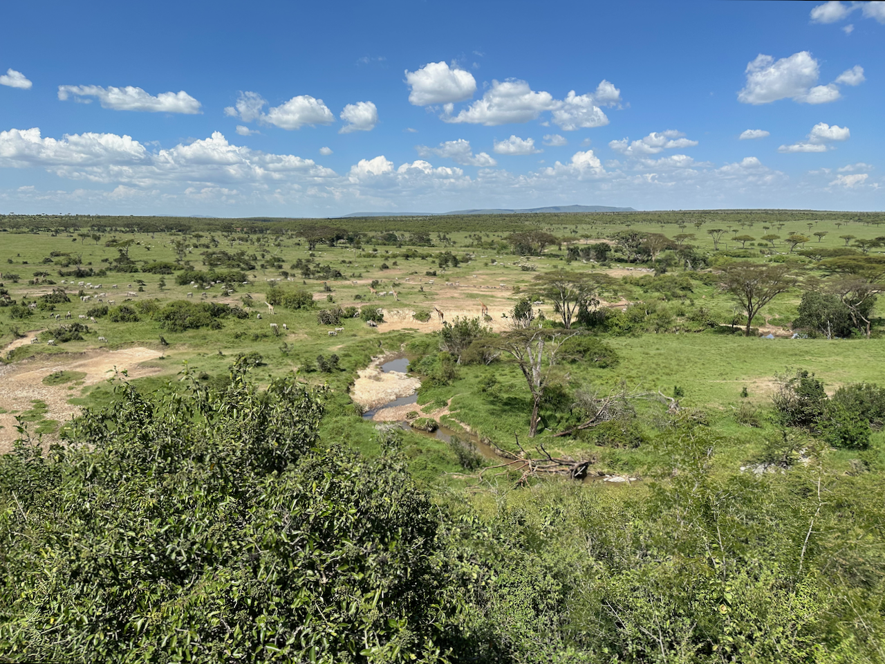 Day 4 – Maasai Mara and Naboisho safaris