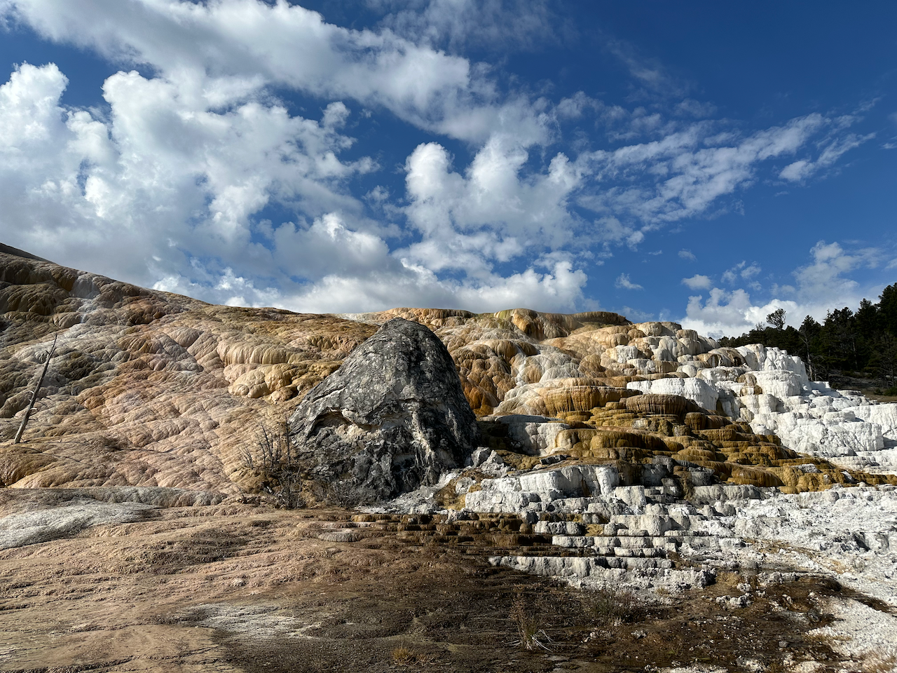 Day 2 – Mammoth, Sheepeater Cliff Trail, Norris Geyer Basin