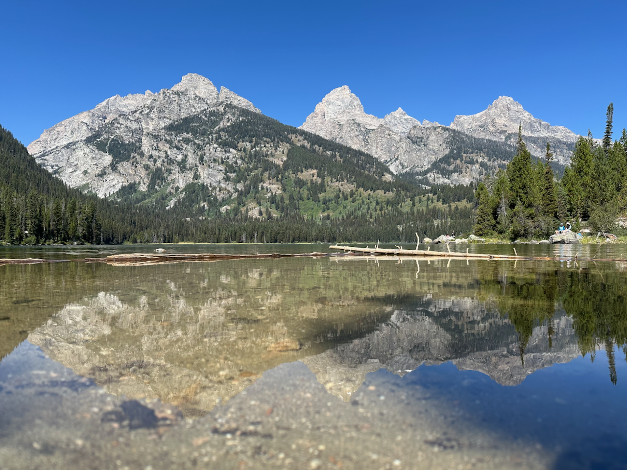 Day 6 – Taggart and Bradley Lake Loop, wandering Jackson
