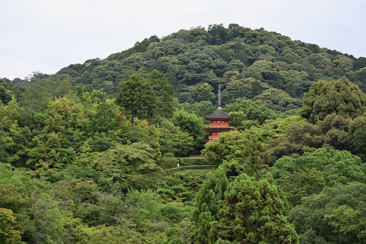 Japan Day 4 – Kiyomizu-dera to Maruyama Park, Shopping, Gear show